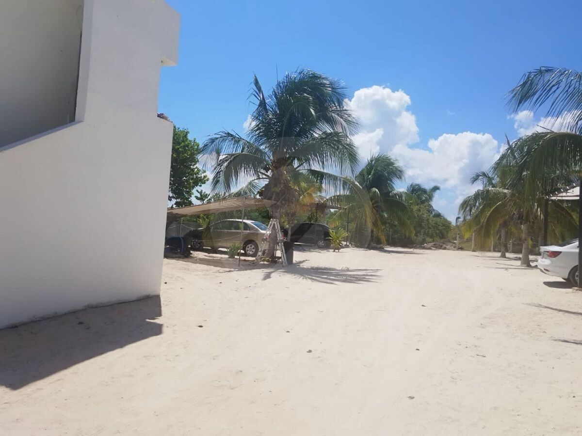 19 de 26
