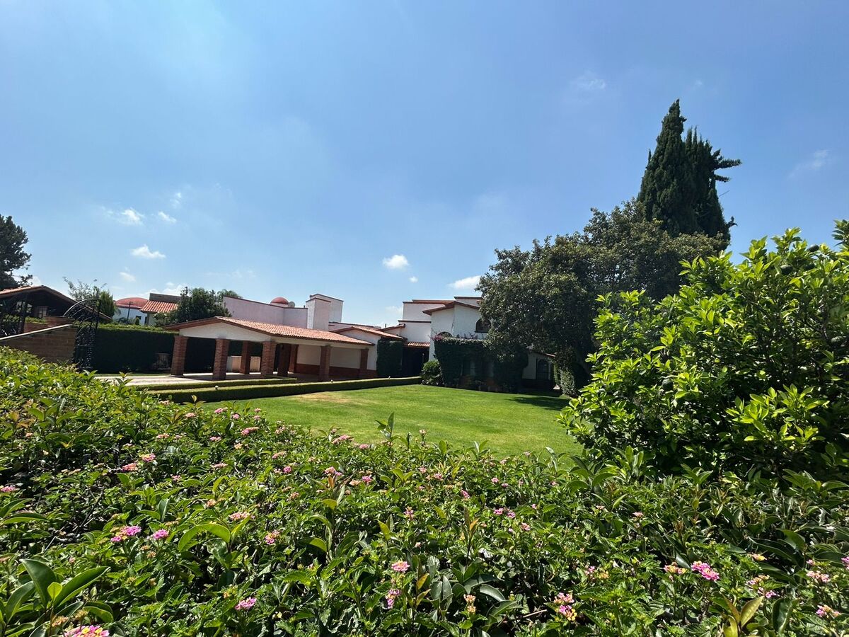 4 de 46