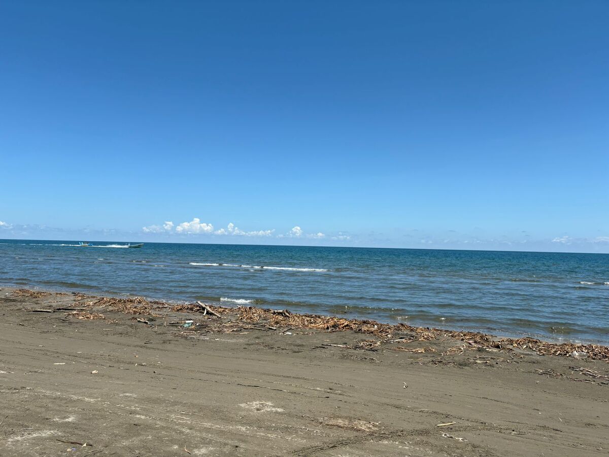 1 de 6