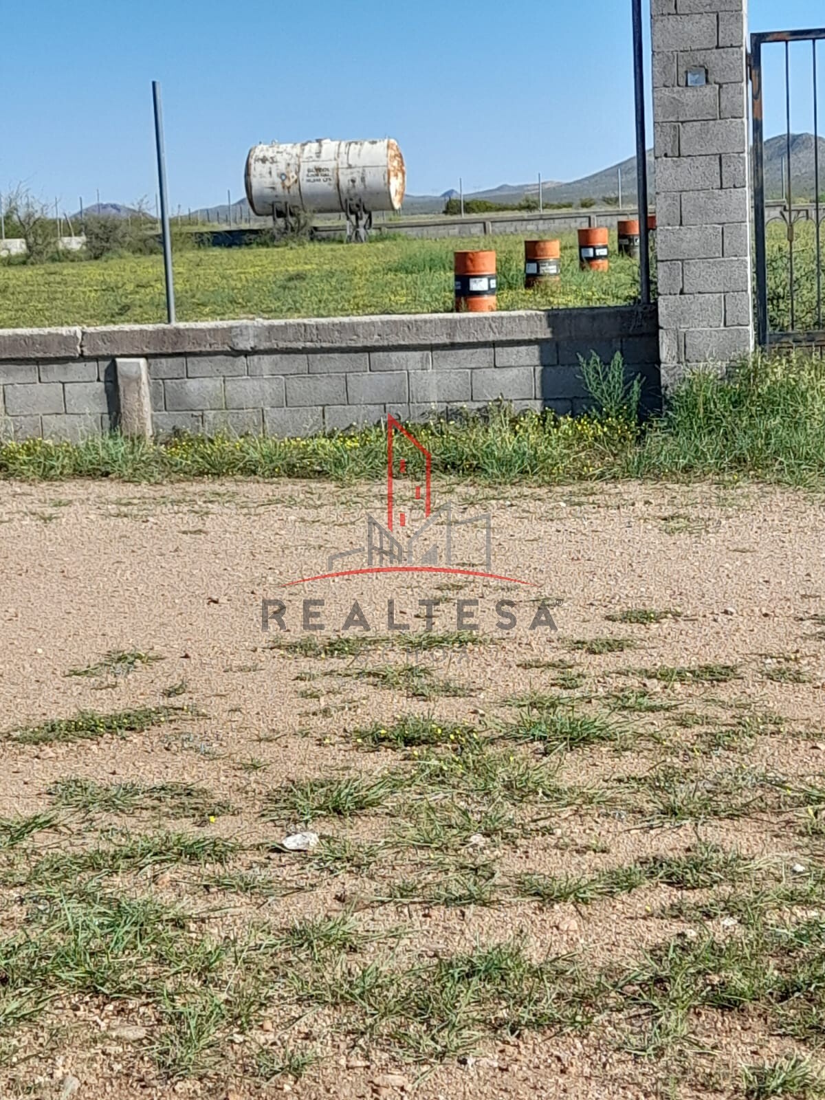 3 de 6