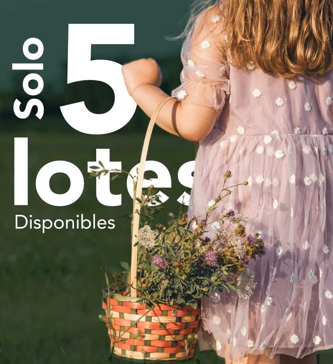 11 de 16