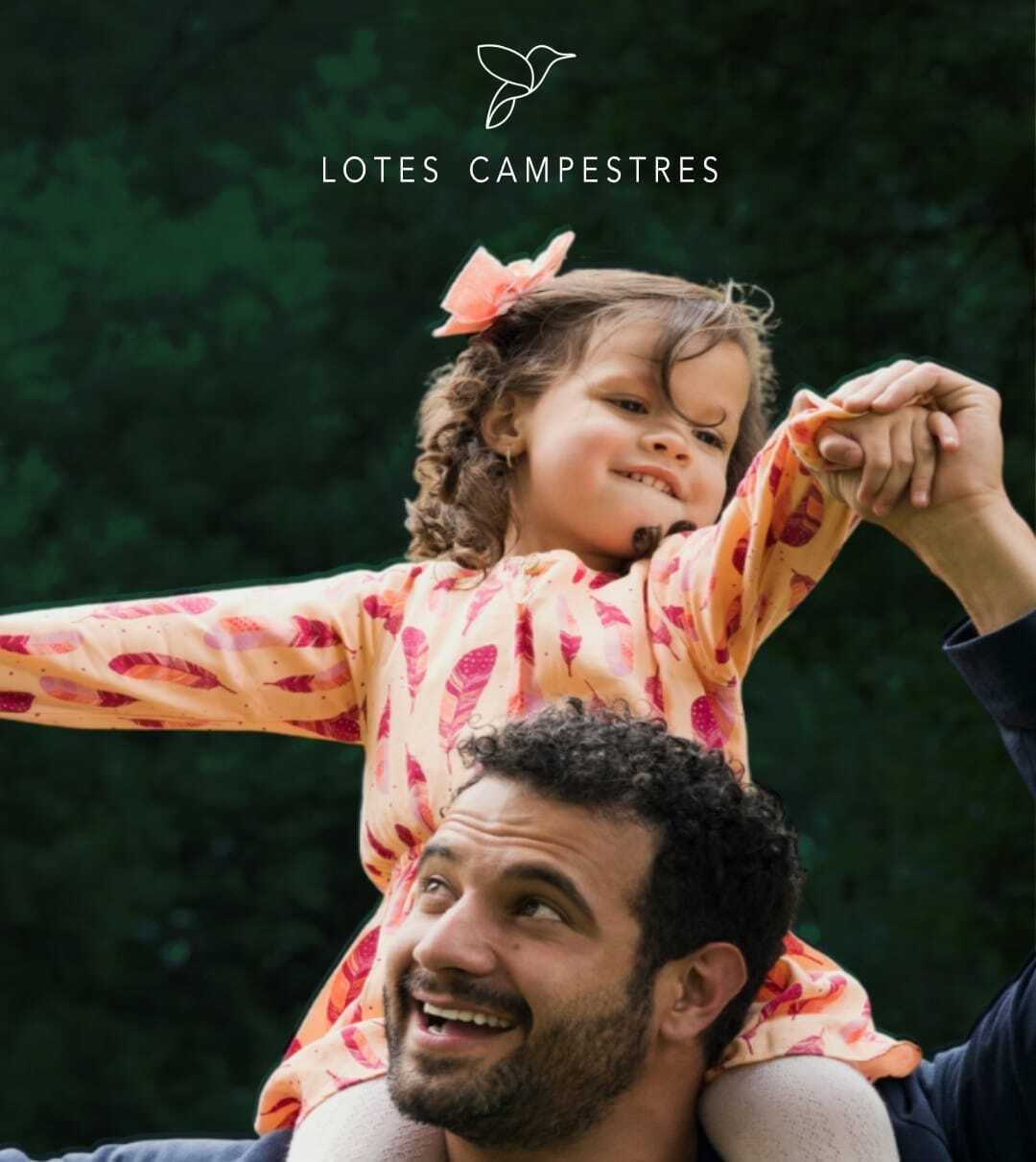 12 de 16