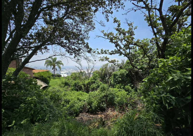 5 de 8