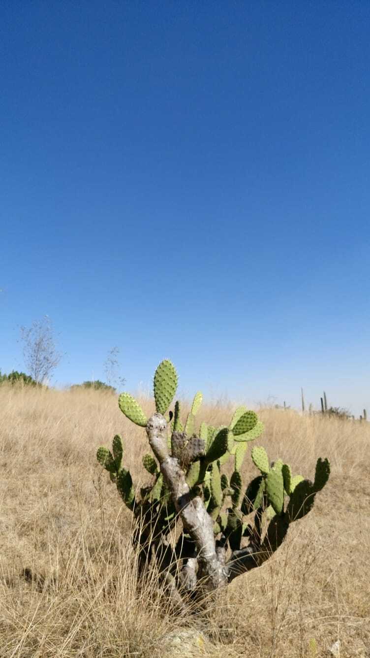 4 de 10