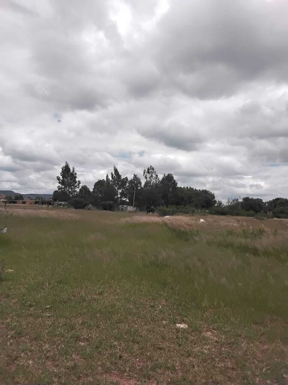 1 de 10