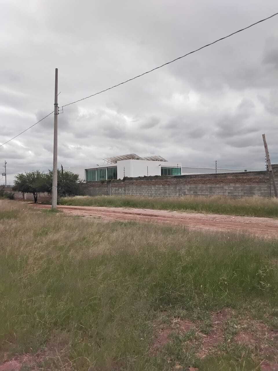 5 de 10