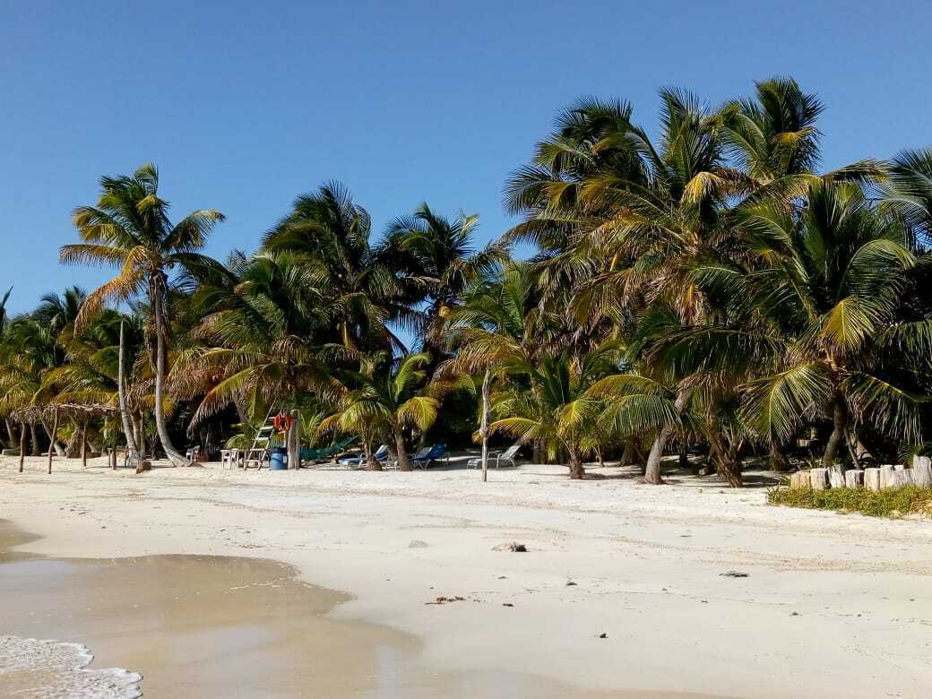 2 de 5
