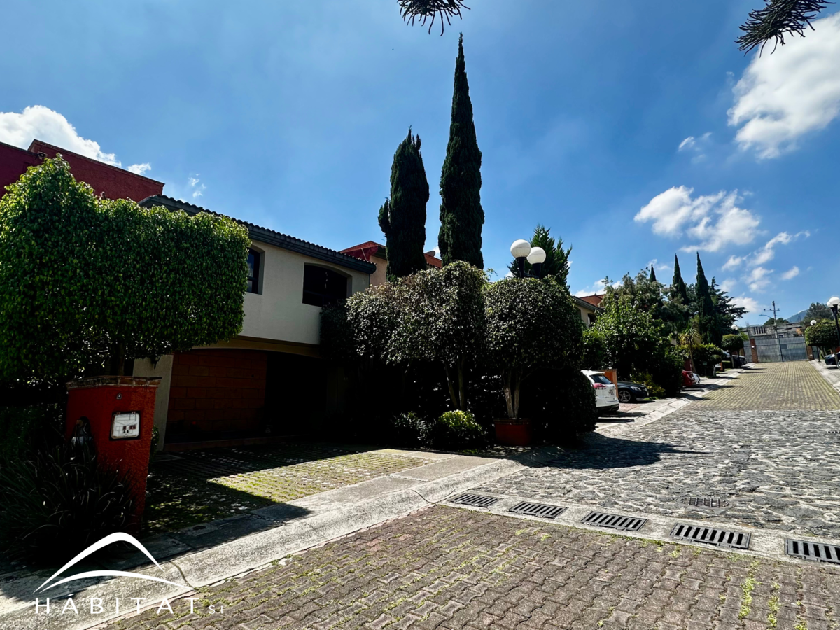 3 de 20