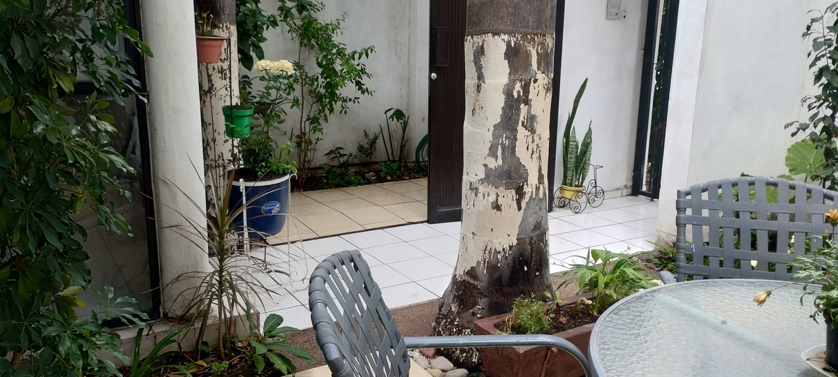 4 de 25: terraza