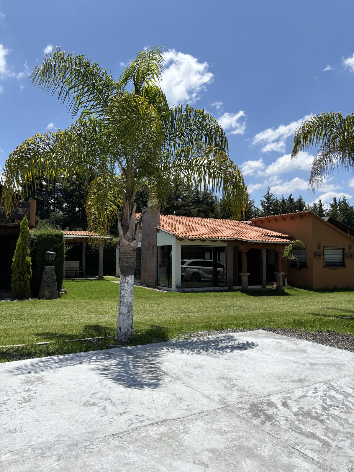 2 de 38