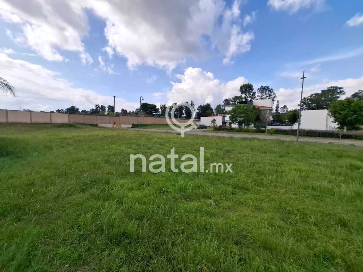 4 de 19