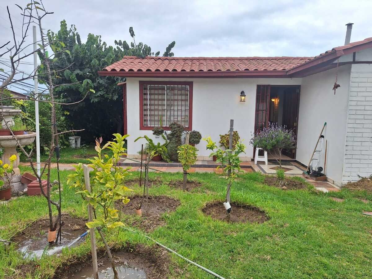 Arboles Frutales