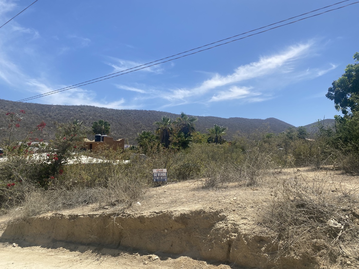 7 de 19