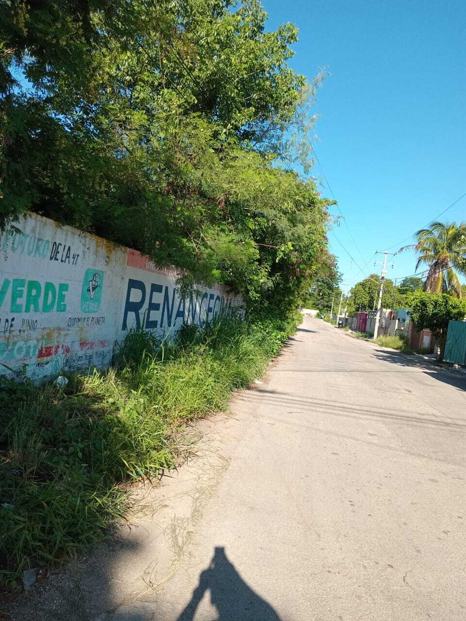 2 de 3