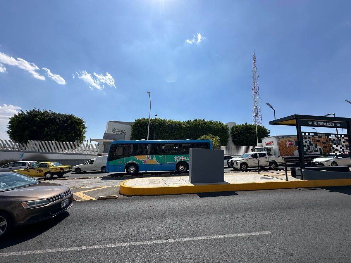 6 de 20