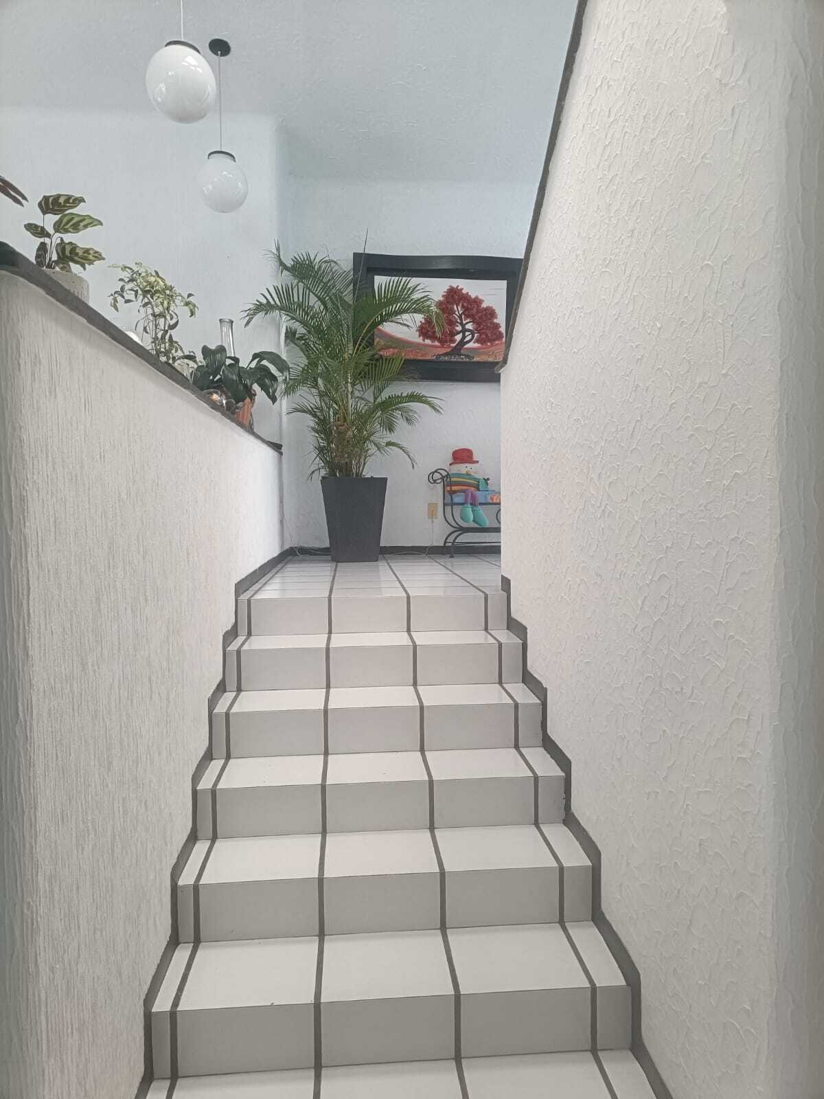 12 de 16