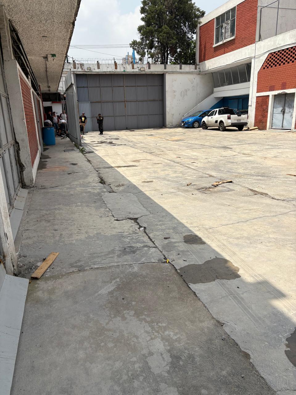 6 de 25