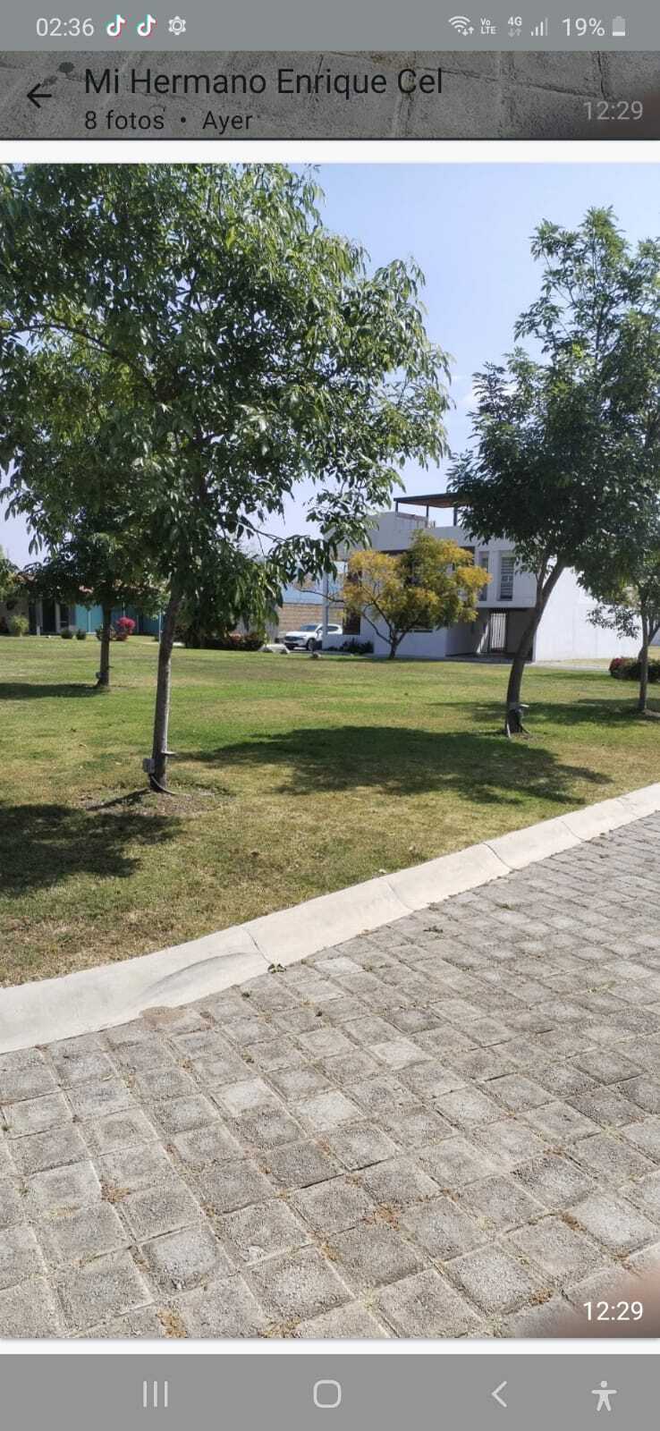 4 de 13