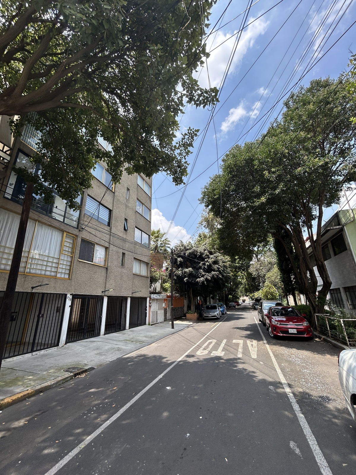 2 de 19: calle arbolada