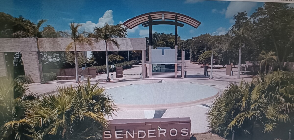 3 de 14