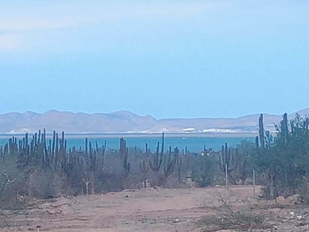 4 de 5