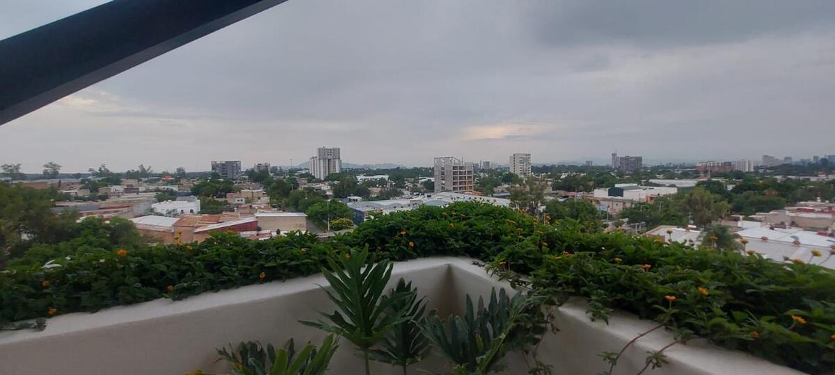 5 de 14