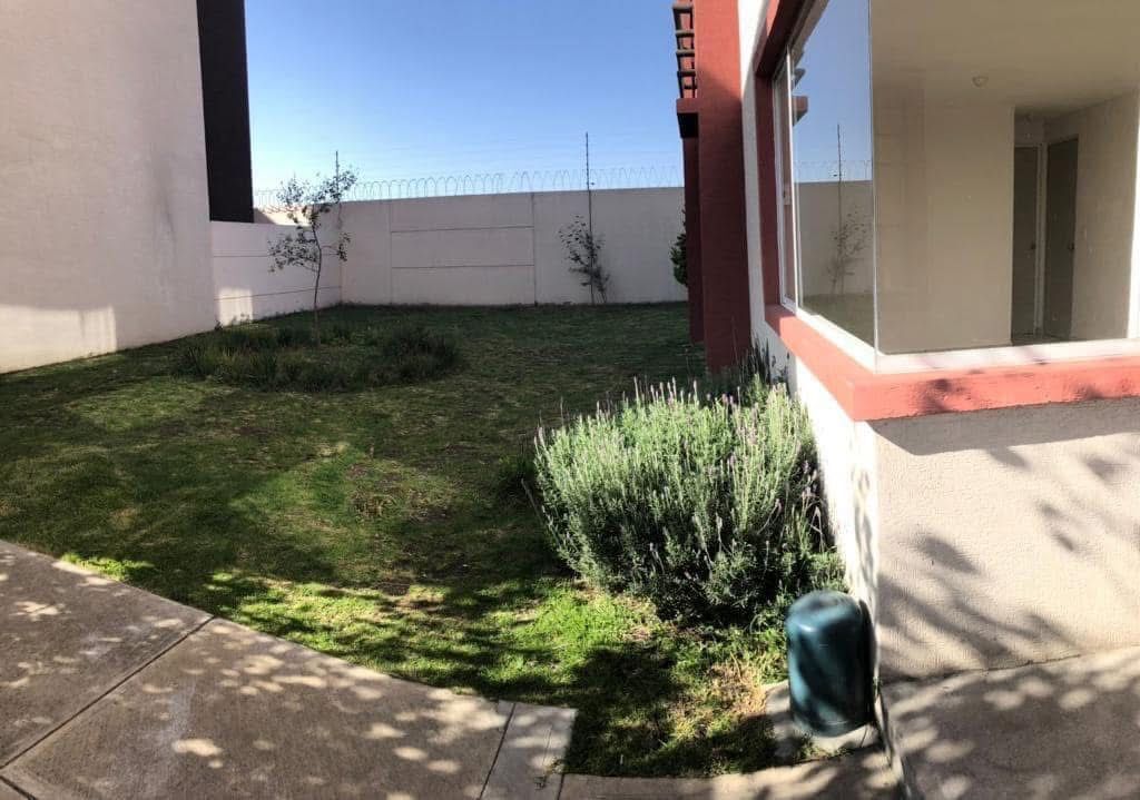 5 de 6