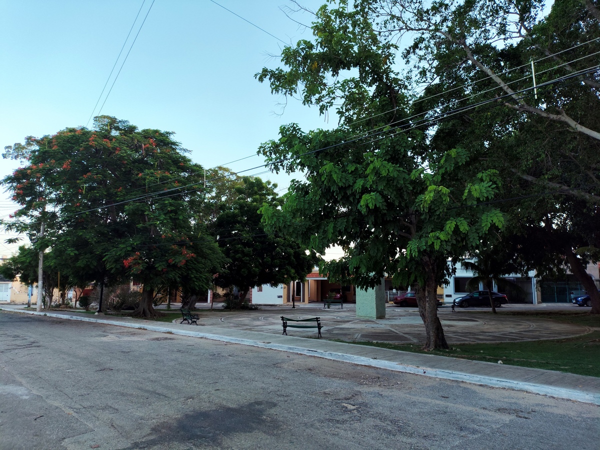 2 de 13: Rededor