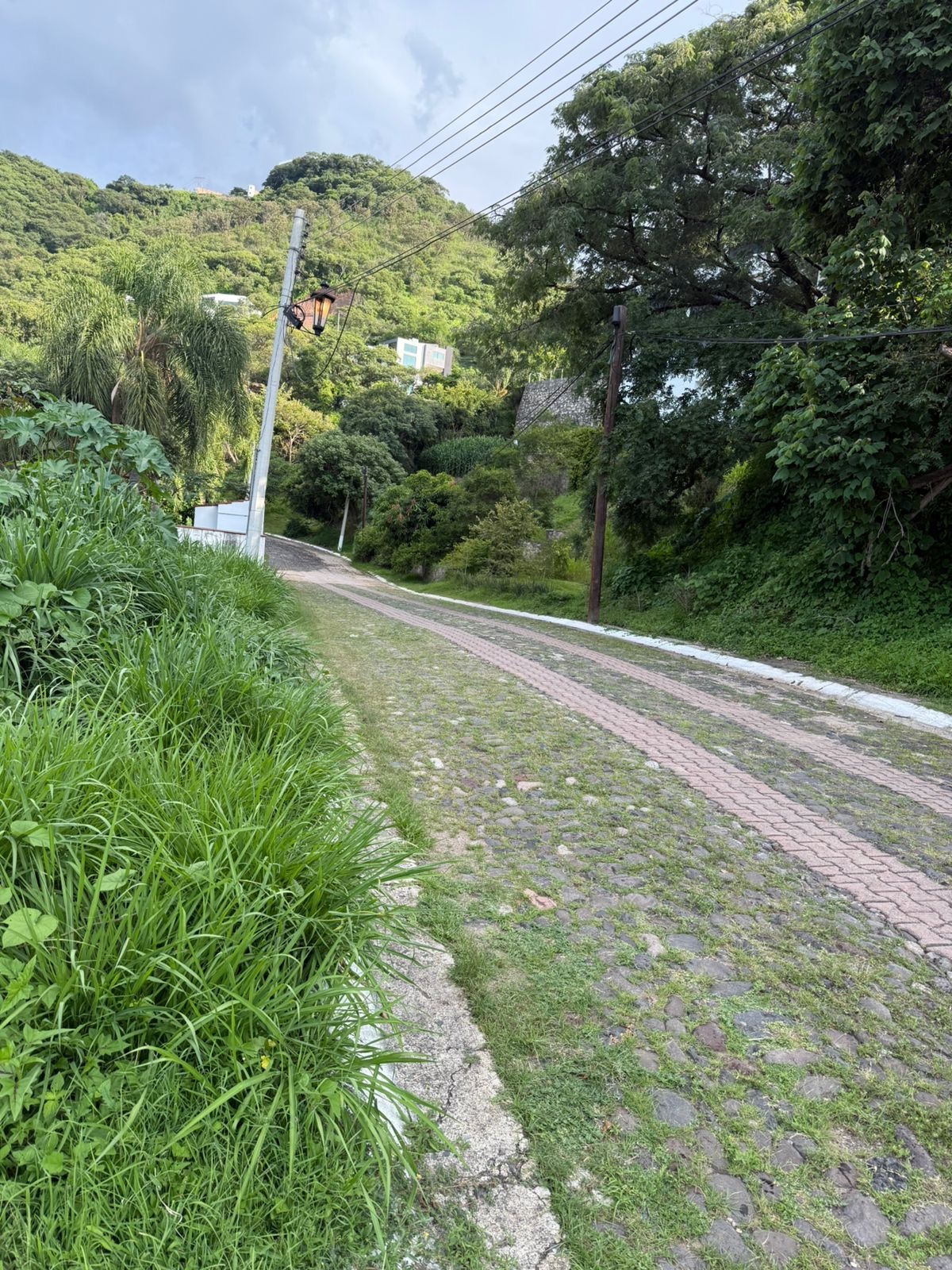 1 de 7