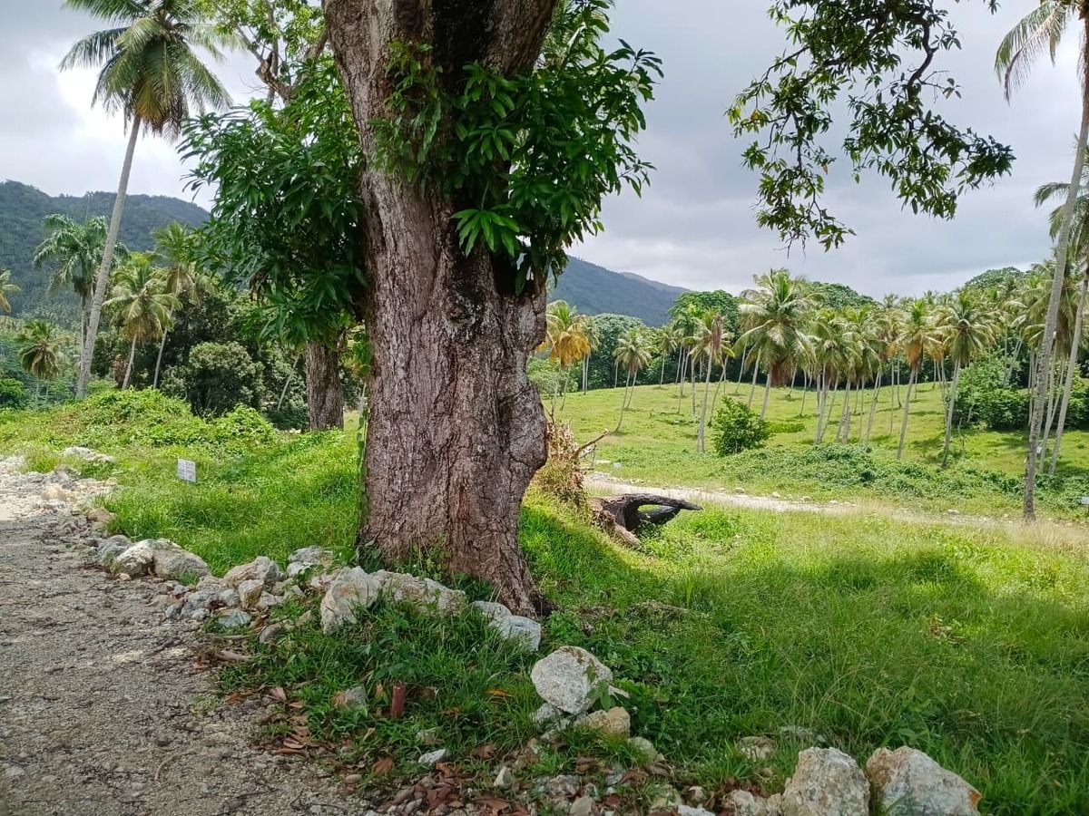 Terreno en Sánchez, foto 6 de 7