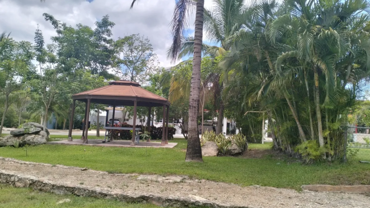 5 de 6