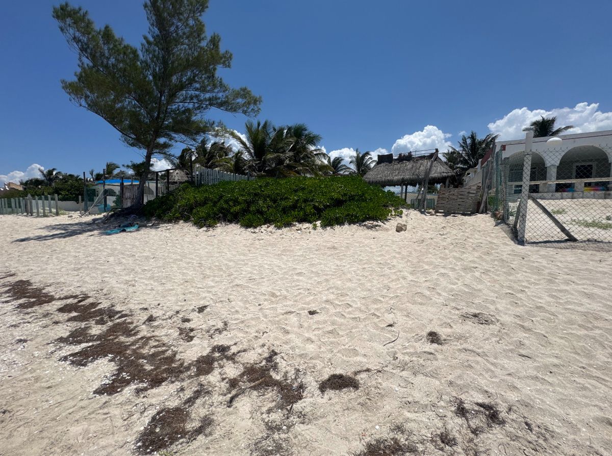 Casa frente al mar en Chelem