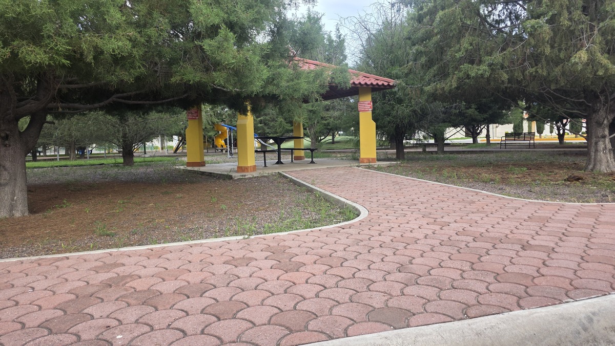 2 de 7