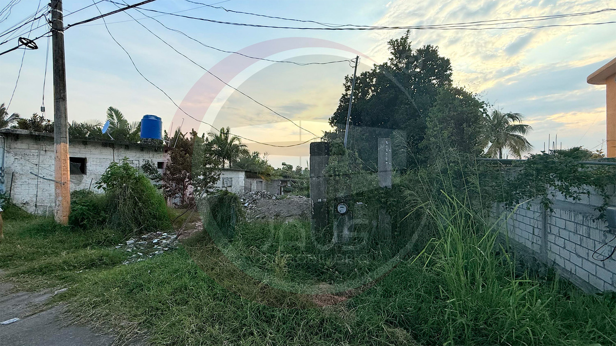 4 de 4