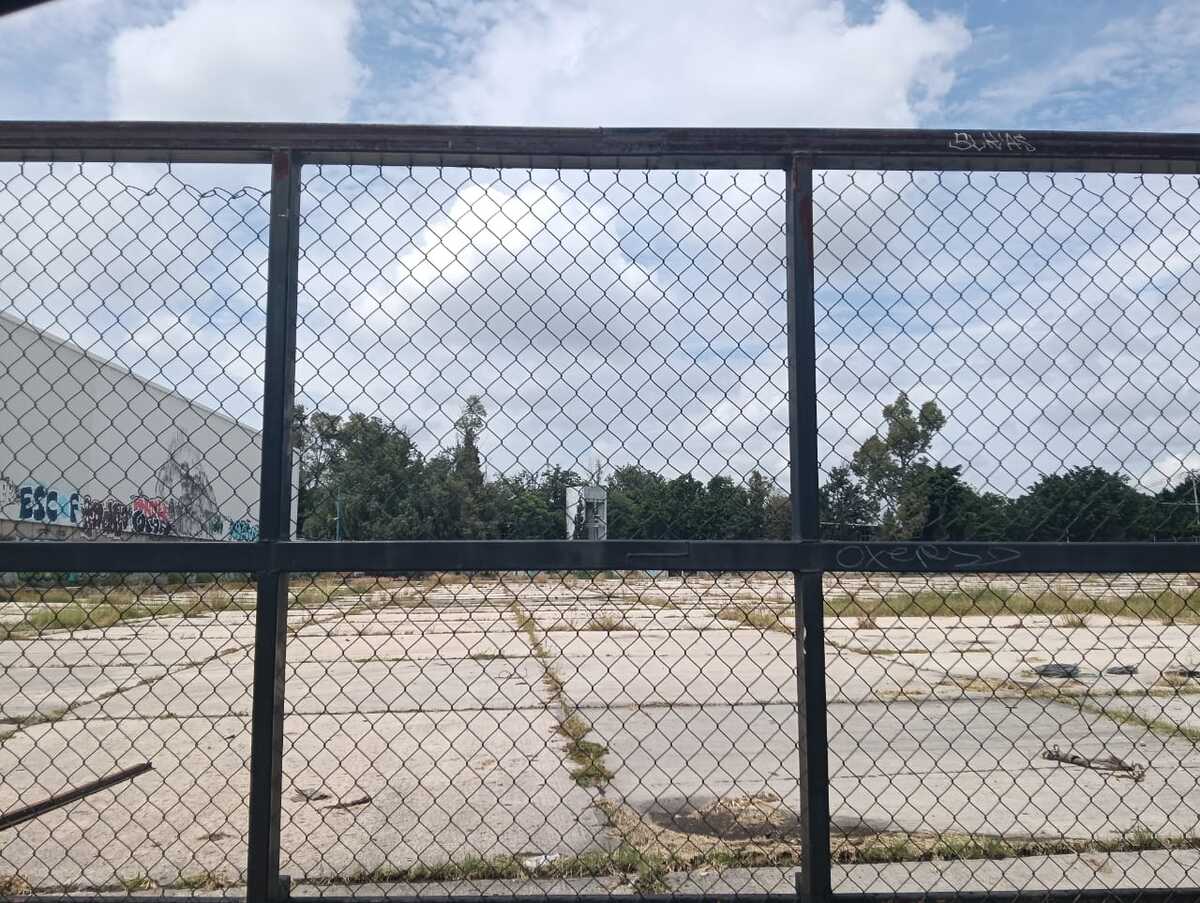 3 de 16