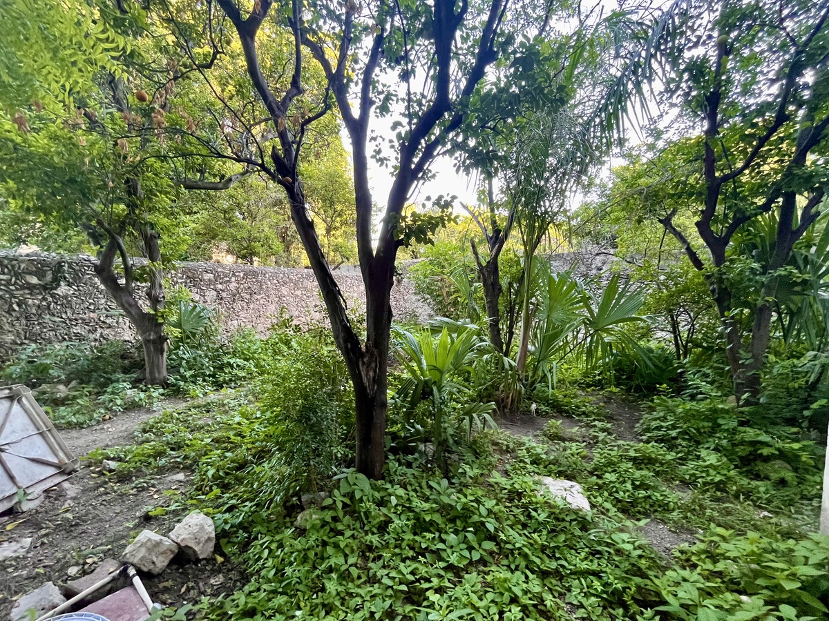 28 de 34