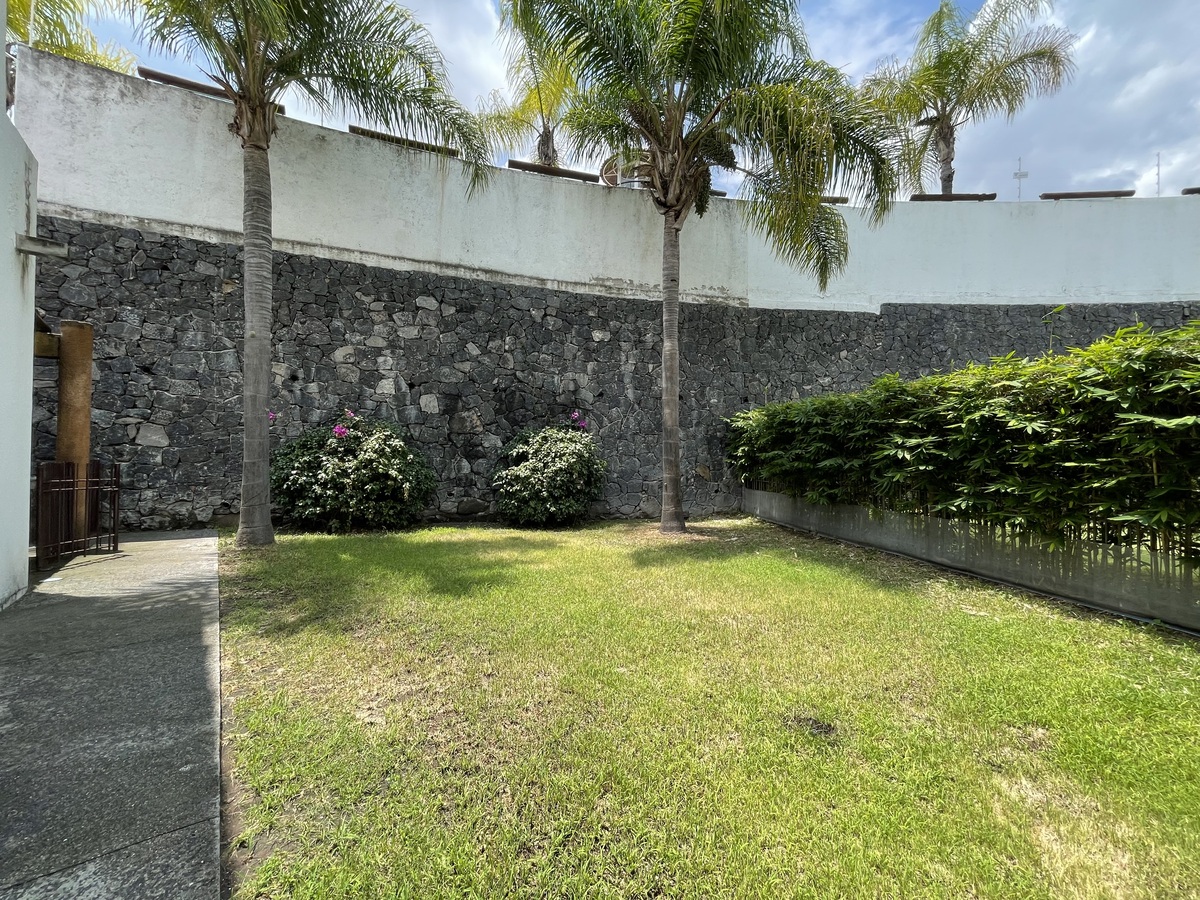 24 de 43