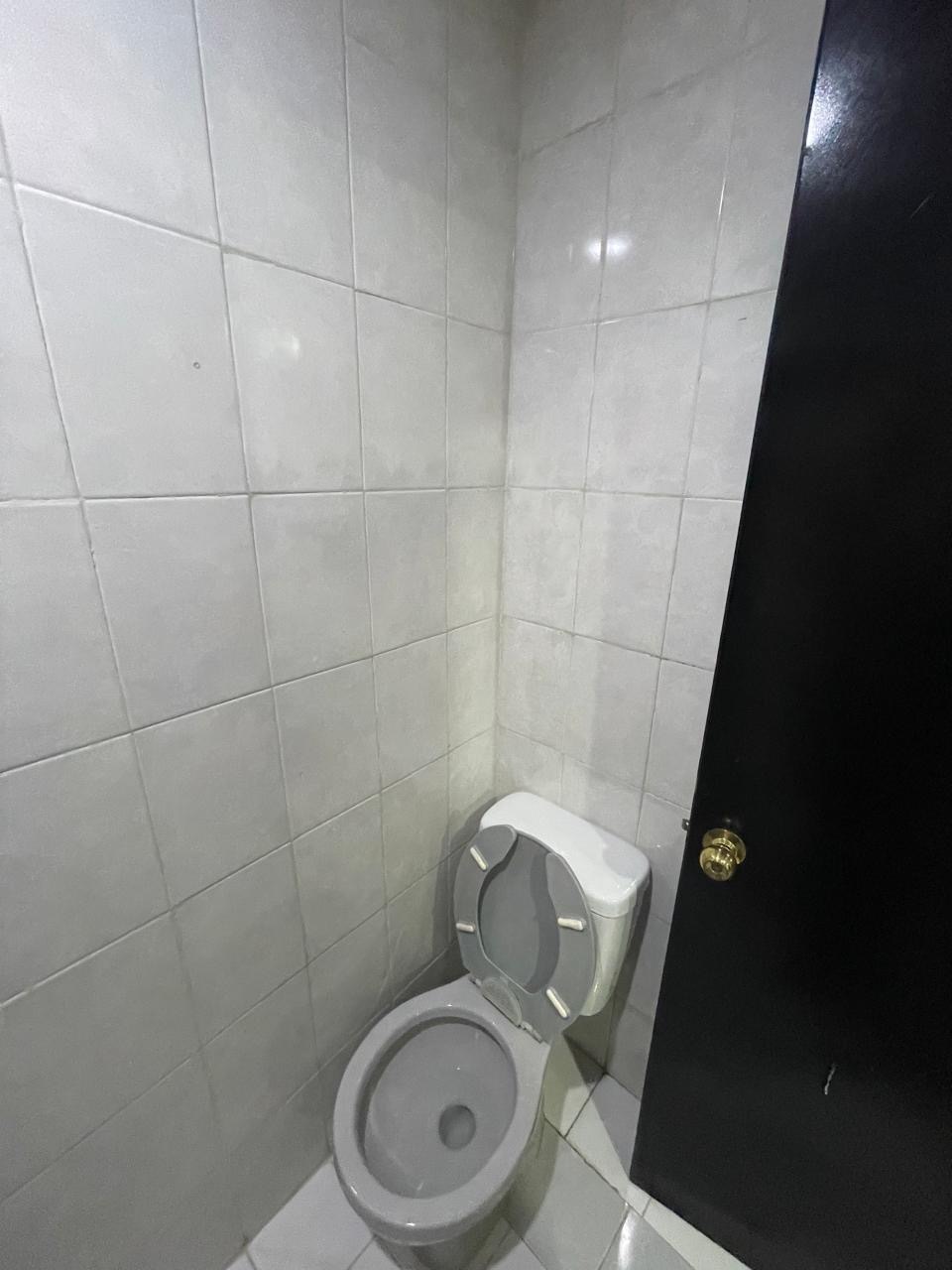 5 de 12