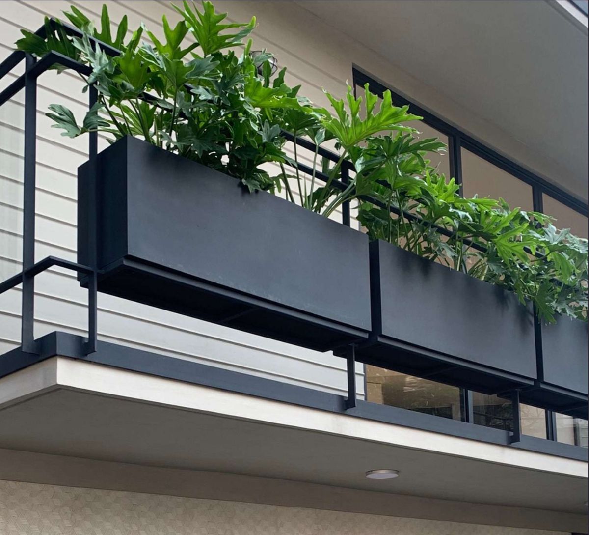 Acceso al balcón interior