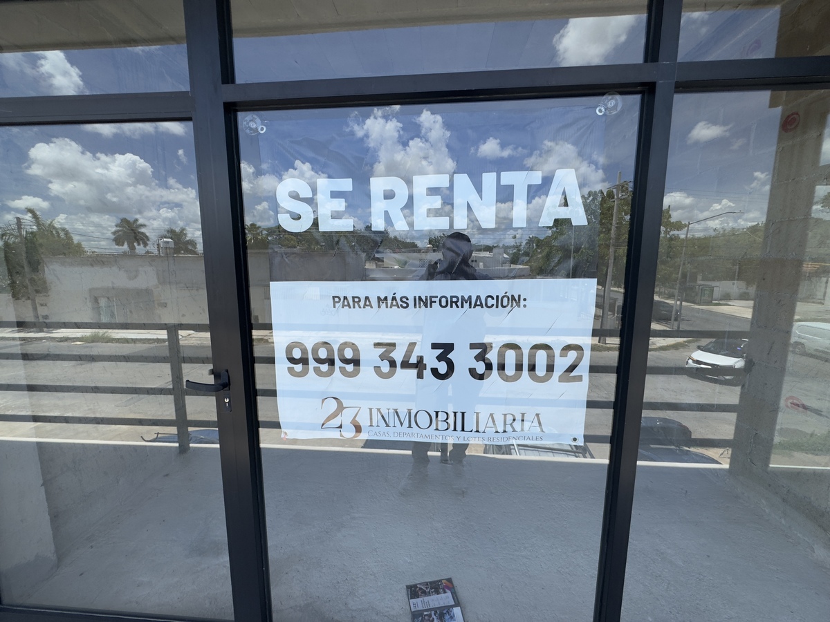 6 de 6
