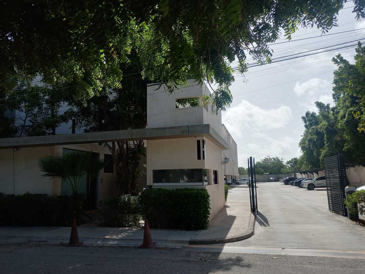 12 de 12