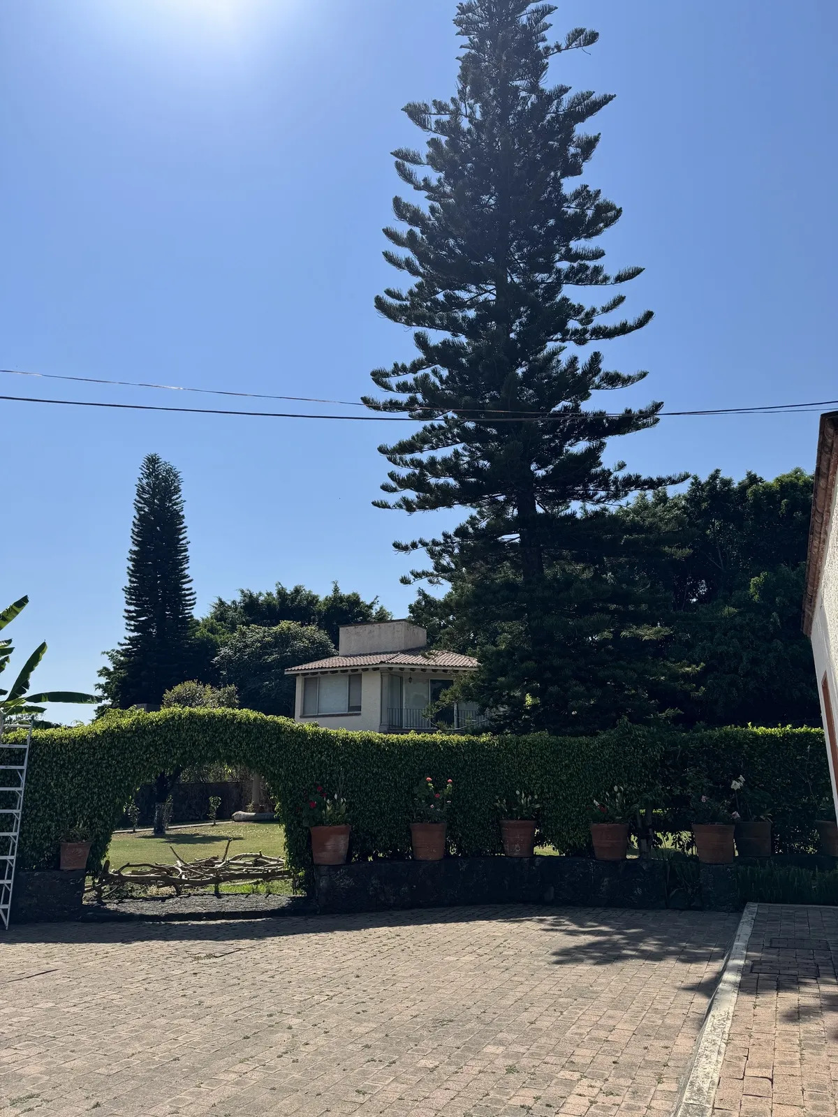 4 de 33