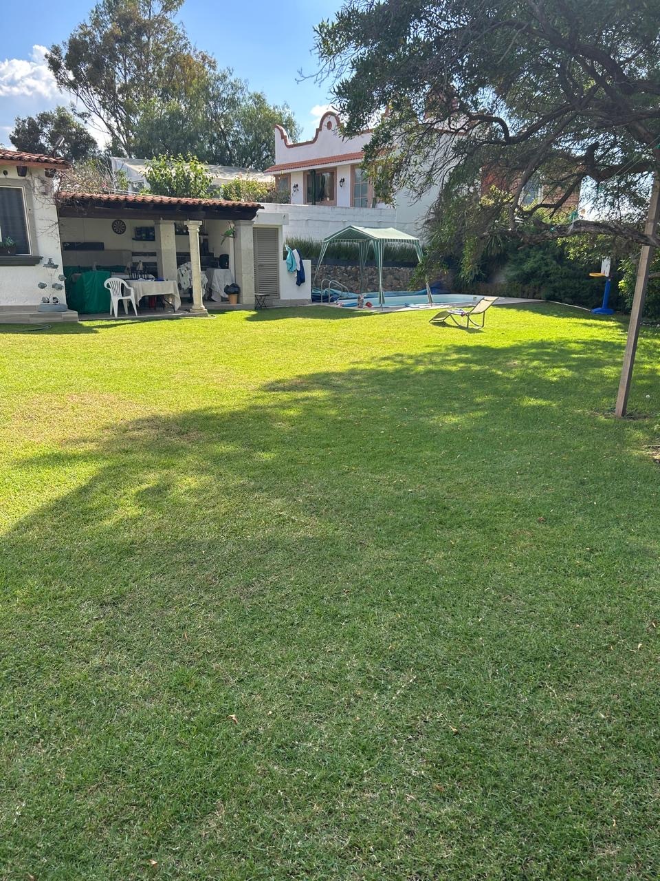 8 de 29