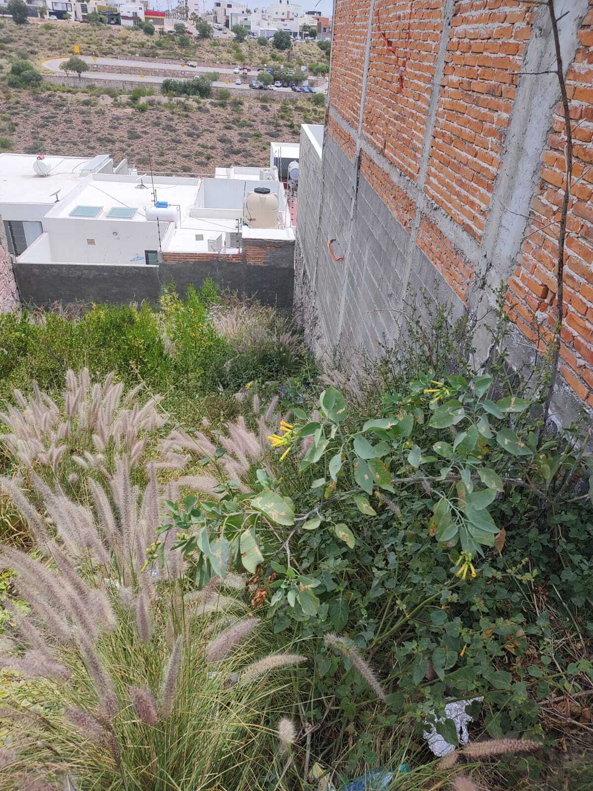 2 de 3