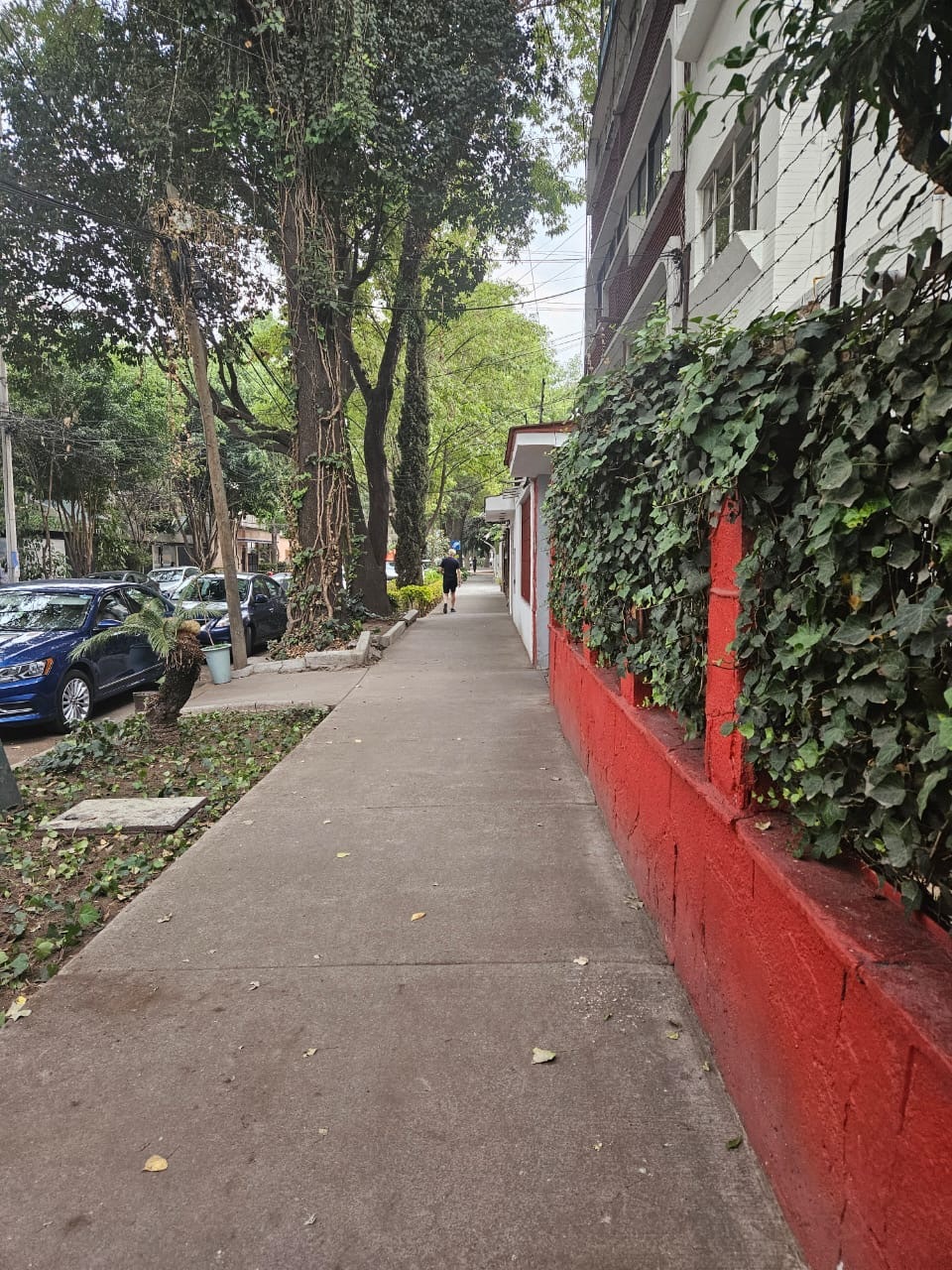 1 de 12