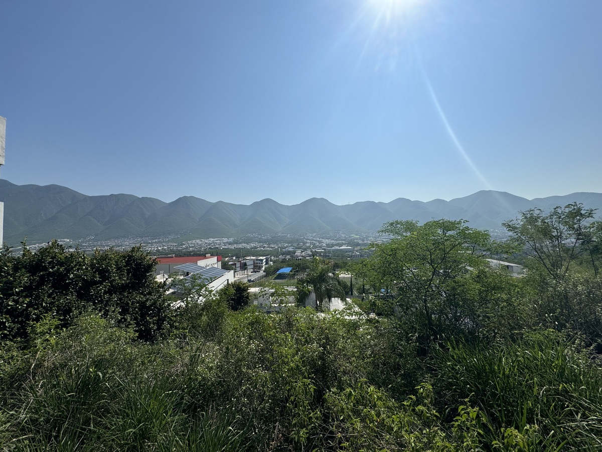 2 de 11