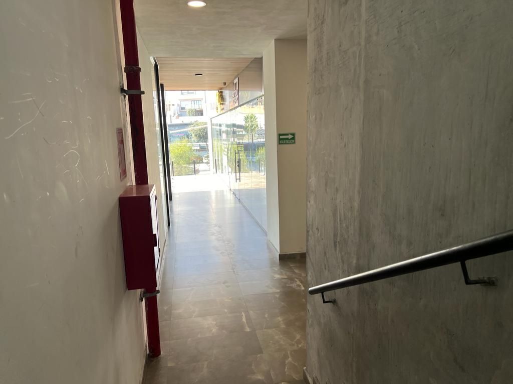 3 de 12