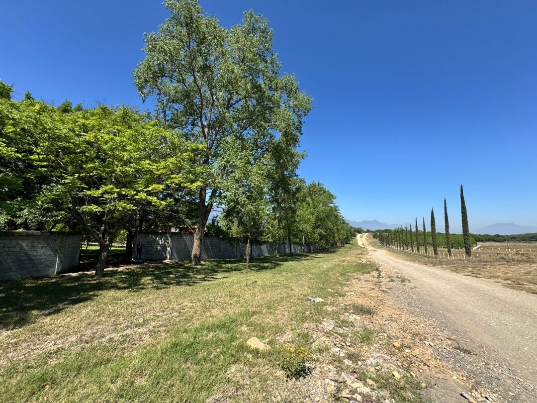 Terreno en venta La Palma Montemorelos N.L.