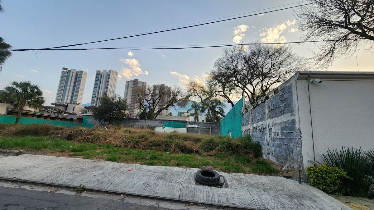 5 de 14