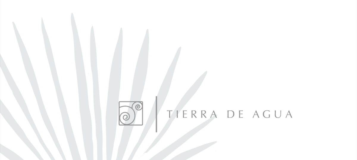 1 de 7